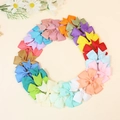 Set de 30 lazos para el pelo de 8 cm en cinta de falla de colores sobre fondo beige - Juego de 21 piezas