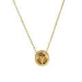 Brass gold necklace with Aries zodiac sign and amber birthstone pendant - Aries