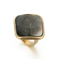 Square black shell inlay on a golden stainless steel ring for women in minimalist style - US 7 / Black (KR104238-WGKL)
