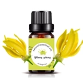 10ml Ylang Ylang natural essential oil in amber glass bottle with dropper cap - 10ml / Yilan