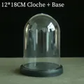 Clear acrylic dome with black base for DIY crafts, sized 12x18cm for floral display - 12*18CM Plastic Dome + Base