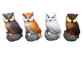 Set of 4 Colors Owls Boxed