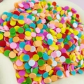 Macro shot of colorful polymer clay candy sprinkles for DIY craft and slime decoration - Mixed Color Discs / 20g