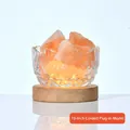 Himalayan pink salt lamp in crystal glass bowl with wooden base, 10-inch corded model - Wired Plug-in / 10"