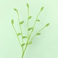 Handmade crochet green plant branch with delicate leaves for DIY flower gifts - Finished Small Clover Branches (large Size)