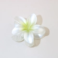 Pearlescent white plumeria flower hair claw clip with yellow gradient for women - 8cm Pearly White-Green Core / Bulk Packaging