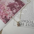Gold star pendant necklace with pink cubic zirconia on floral aesthetic card - Pink Pavé Style (XL2593-6) / 14K Gold