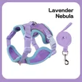 Lavender and blue reflective cat harness and leash set in breathable mesh fabric - Lightweight Breathable Purple