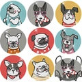 DIY diamond painting coasters set with colorful dog patterns and black metal storage rack - Various Dogs (BD016)