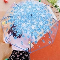 Clear automatic folding umbrella with blue cherry blossom pattern and white handle - Automatic / Sky Blue Cherry Blossom