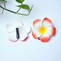 Orange gradient Plumeria foam hair clip set showing both front and metal duckbill clip - 4cm / Orange Flower Head + Clip