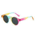 Retro round sunglasses featuring rainbow gradient frames and dark grey tinted lenses - Rainbow Frame Black Grey Lens
