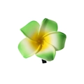 Sweet plumeria hair clip with natural green and yellow gradient petals for beach styling - 8cm / Green