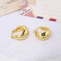 Bohemian gouden geometrische oorringen met gepolijst hol ontwerp op vintage achtergrond - Gouden glanzende dikke ring