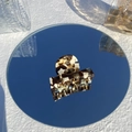 Détail d'une pince à cheveux motif écaille de tortue sur un miroir circulaire - Gelée de Café