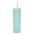 Matte mint green double-layer plastic straw cup 16oz with lid and matching straw - 16oz / Light Green