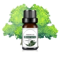 10ml Forest Bath wasserlösliches Duftöl in brauner Glasflasche für Luftbefeuchter - Waldbad Duftöl