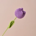 Tulp / Donkerpaars