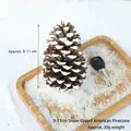 Frosted 9-11cm natural pine cone with white snow effect for Christmas DIY decoration - 9-11cm Snow-covered American Pine Cones