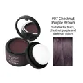 Hairline shadow powder #07 chestnut purple brown with applicator and mirror compact - 7# Chestnut Brown