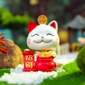 Charming white Maneki Neko figurine with golden wealth coin in a miniature zen garden scene - Attracting Wealth Cat (8039)