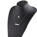 Double layered silver necklace featuring a minimalist bar and round disc on a black bust - Steel Color (MP587)