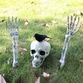 Halloween-Skelett Erdspieße mit Totenkopf und Skelettarmen inklusive schwarzem Vogel - Skelett- und Krähen-Set
