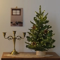 Mini Christmas tree with warm LED lights and pine cones on a wooden base decor - Starry Green Tree 60cm