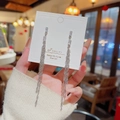 Long silver 925 tassel earrings with sparkling rectangular zircons in bright finish - Silver Zircon Drop (E0475)