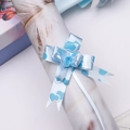 Detail of light blue heart print ribbon bow on white feather patterned wrapping paper roll - Light Blue Heart