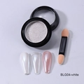Solid silver aurora nail powder set BLG04-white with sponge brush and sample tips - BLG04-White