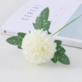 Product 6