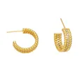 Chic gold-plated C-shaped hoop earrings with twisted texture and white zircon stones - Style C - Gold Double Row Twisted C-Shape Zircon Earrings
