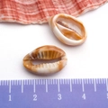 Natural cowrie shell pendants with brown patterns for DIY jewelry making 2cm size - Cream Acrylic Single Sided Shell 13x18mm (17277)