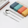 Set di posate portatili in acciaio inossidabile argento con scatole colorate - Tipo F Argento