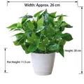 Artificial Pothos plant in white textured pot, 30cm height indoor decorative greenery - Large Pot + 30cm Green Radish