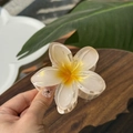 Macro shot of translucent plumeria hair claw clip with gold glitter on wood surface - Plumeria Jelly Texture / Yellow