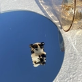 Gros plan détaillé d'une mini pince à cheveux ours en acétate écaille de tortue - Ours Léopard Clair