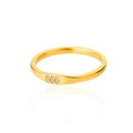 Detailed macro view of gold-plated stainless steel ring with 666 angel number engraving - US 10 / 666
