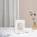 White gift bag with transparent window and cotton handles, size 20x15x10cm for flowers - Type B Windowed (15x10x20cm) / White