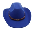 Royal blue western cowboy felt hat with brown braided band and golden feather buckle - M(56-58cm) / Royal Blue (Gold Feather)