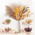 Pampas grass and eucalyptus dried flower bouquet in white vase with labeled quantities - ￡￡￡￡003-orange Jewel Grass Mix￡￡￡￡