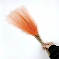 Handheld bundle of 55cm orange artificial pampas grass for boho home decoration - 53-55cm / Orange White Gradient