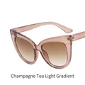 Cat eye glasses frame in transparent champagne tea color with gradient brown lenses - Champagne Tea / Gradient Light Tea