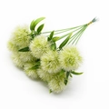 Macro view of artificial dandelion bunch with green flower heads and plastic leaves - White