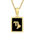 18K gold plated stainless steel necklace with black Capricorn zodiac pendant - Capricorn (With Chain)