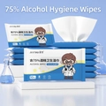 75% Alcohol sanitizing wipes in a 10pcs portable pack with 99.9% sterilization rate - 10 Sheets Alcohol Cartoon Portable