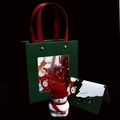 Detail of green Christmas gift bag with plush snowman and For My Dear greeting card - Snowman Box (Green Transparent Bag Set)