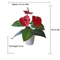 Artificial red anthurium plant in white ceramic pot measuring 26cm height and 22cm width - Medium Pot + 12-Prong Large Anthurium