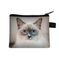 Mini cat coin purse featuring a Ragdoll cat print with a durable zipper closure - Ragdoll Cat